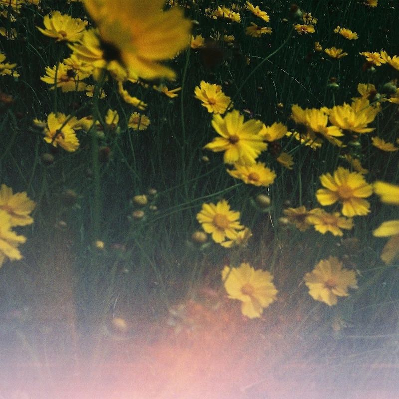 abel-pause-parf-m-nat-rliches-damenparfum-blumenduft image 4