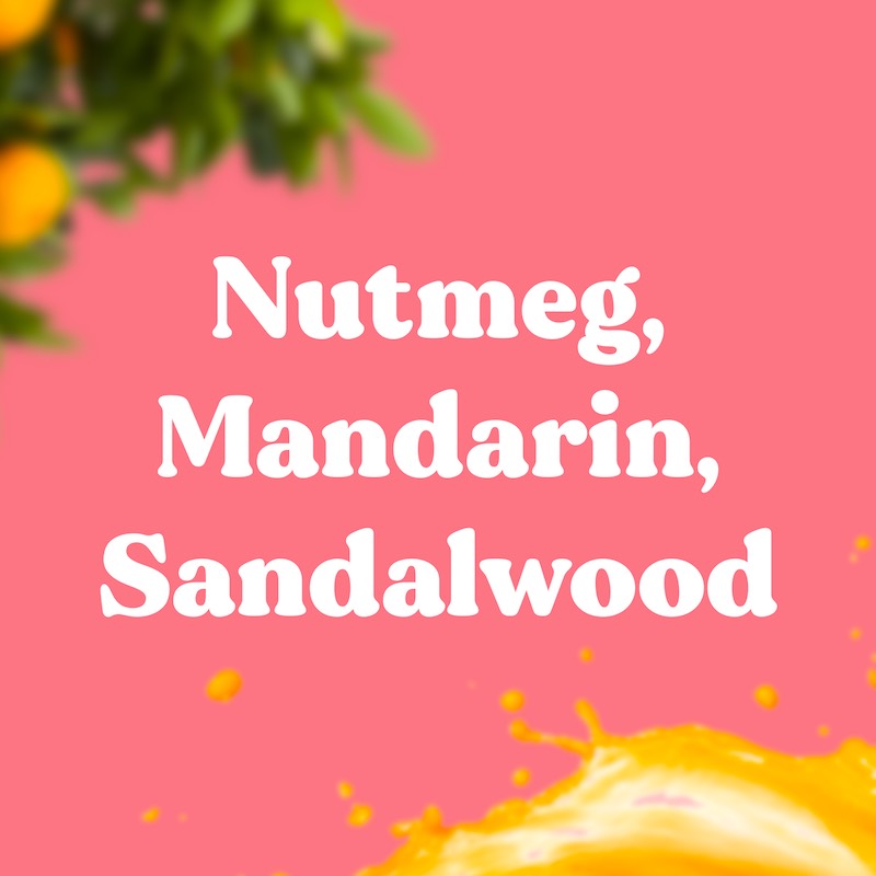 or-basics-bubble-shell-r-ucherst-bchen-mandarine-muskatnuss-sandelholz image 3