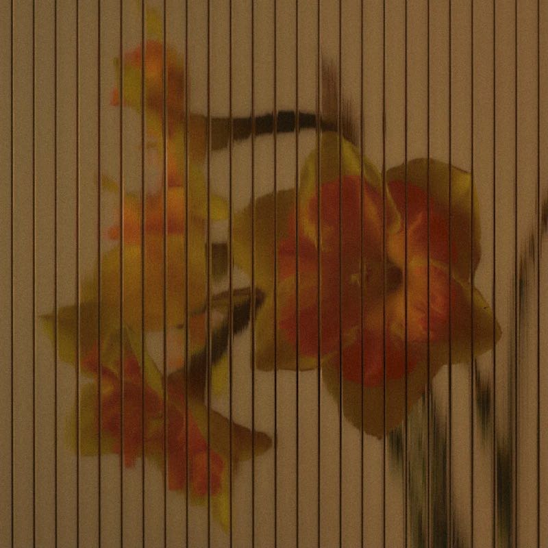 abel-pause-parf-m-nat-rliches-damenparfum-blumenduft image 3